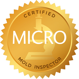 certified mold inspections